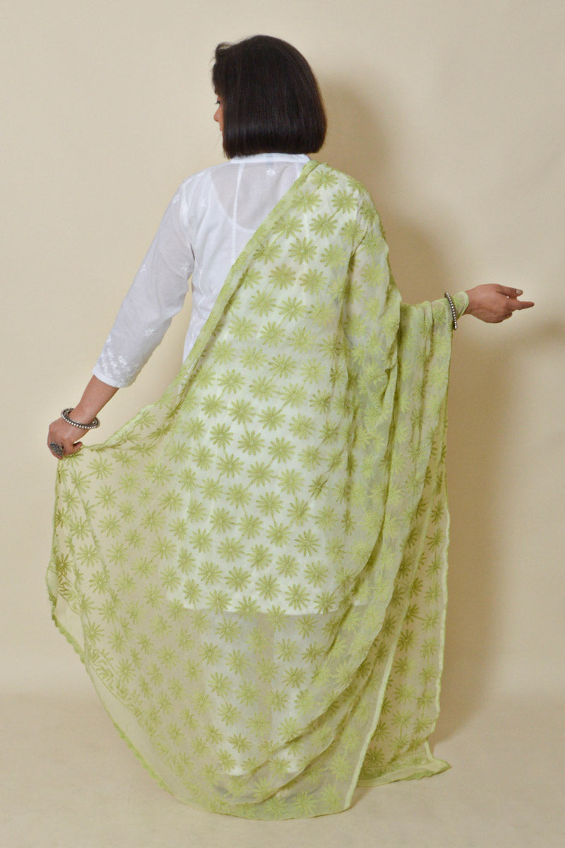 Fabnuma Handcrafted Light Green Georgette Allover Tepchi Chikankari Dupatta - Fabnuma