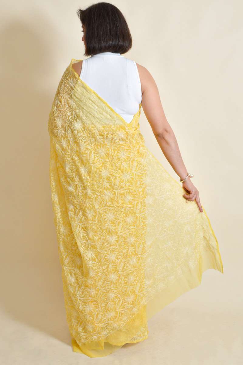 Fabnuma Handcrafted Yellow Georgette Chikankari Saree-Blouse - Fabnuma