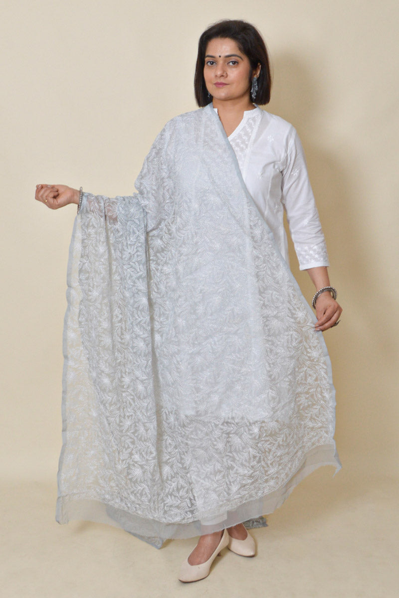 Fabnuma Handcrafted Grey Georgette Allover Tepchi Chikankari Dupatta - Fabnuma