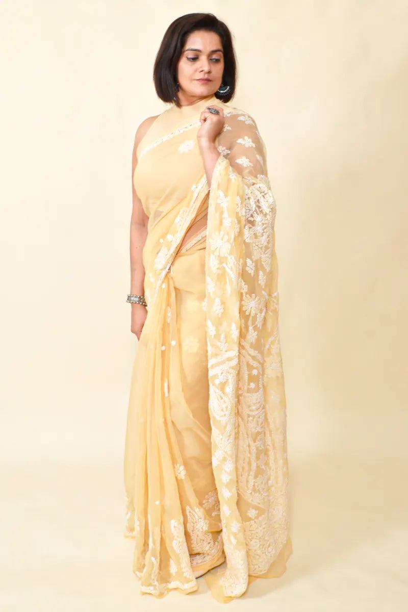 Fabnuma Handcrafted Fawn Georgette Chikankari Saree-Blouse - Fabnuma