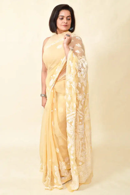 Fabnuma Handcrafted Fawn Georgette Chikankari Saree-Blouse - Fabnuma