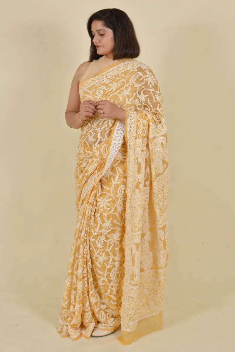Fabnuma Handcrafted Fawn Georgette Chikankari Saree-Blouse - Fabnuma