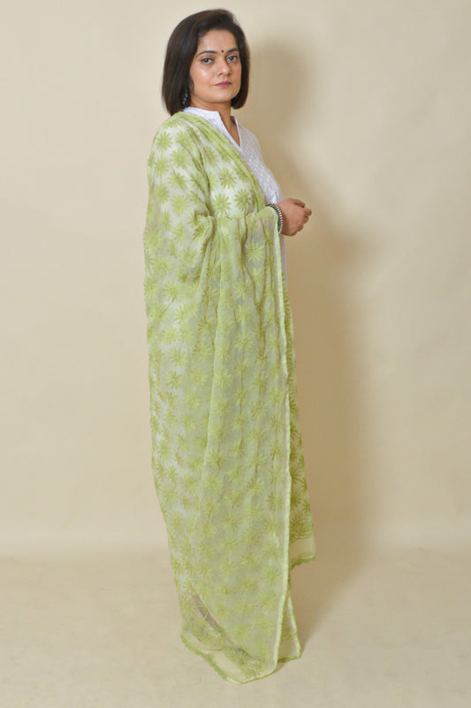 Fabnuma Handcrafted Light Green Georgette Allover Tepchi Chikankari Dupatta - Fabnuma