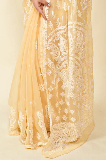 Fabnuma Handcrafted Fawn Georgette Chikankari Saree-Blouse - Fabnuma