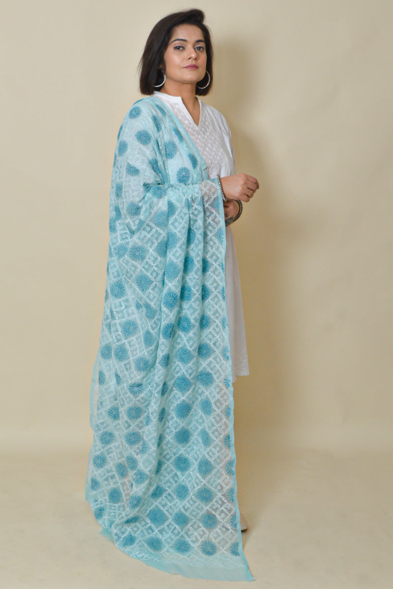 Fabnuma Handcrafted Sky Blue Georgette Allover Tepchi Chikankari Dupatta - Fabnuma
