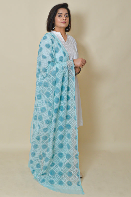 Fabnuma Handcrafted Sky Blue Georgette Allover Tepchi Chikankari Dupatta - Fabnuma