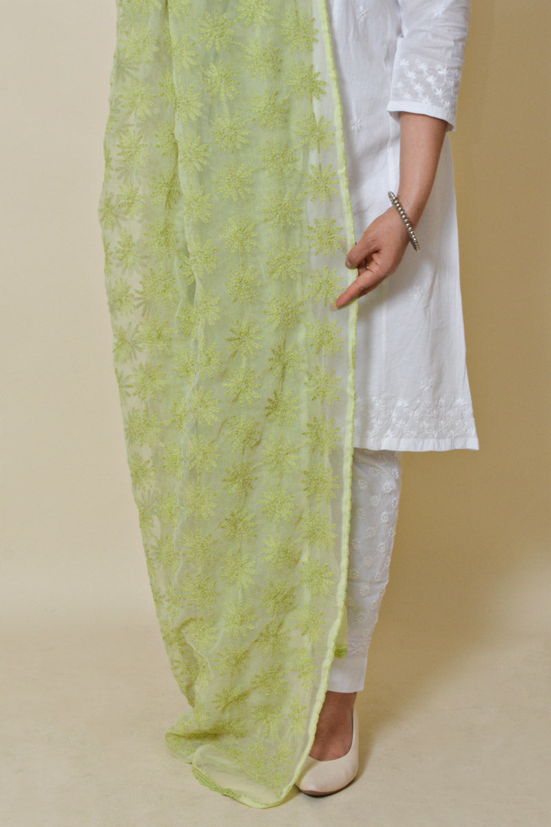 Fabnuma Handcrafted Light Green Georgette Allover Tepchi Chikankari Dupatta - Fabnuma