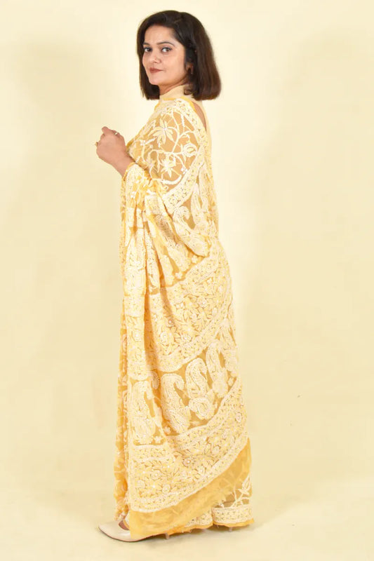 Fabnuma Handcrafted Fawn Georgette Chikankari Saree-Blouse - Fabnuma