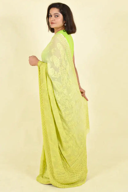 Fabnuma Handcrafted Green Viscose Chikankari Saree-Blouse - Fabnuma